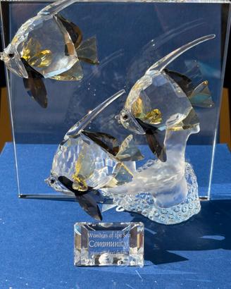 Swarovski SCS Wonders of the Sea
