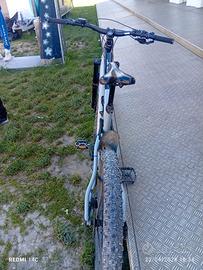 bici nsr 