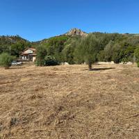 POGGIO DEI PINI, PAULIARA, SPLENDIDO TERRENO EDIFI