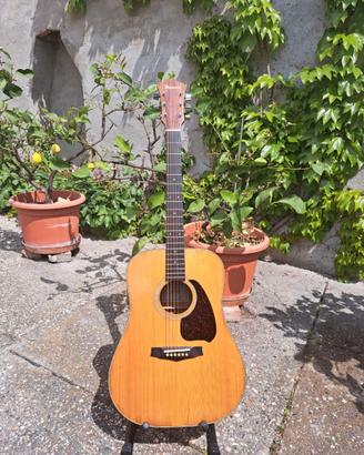 Chitarra Ibanez mod. v300 1981 Japan