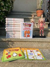 Esplorando il corpo umano