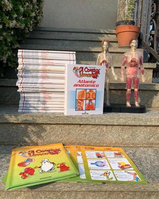 Esplorando il corpo umano