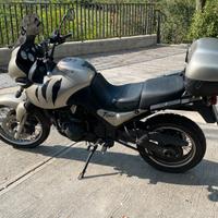 Triumph Tiger 955i