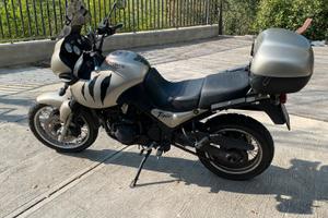 Triumph Tiger 955i