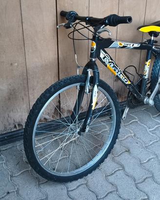 bici bimbo 10/15 anni