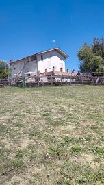 Casale - Villa Singola a Torano Nuovo (TE)