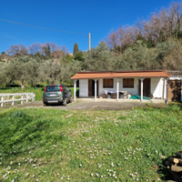 Fosdinovo vigneto uliveto e fabbricato