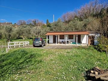 Fosdinovo vigneto uliveto e fabbricato