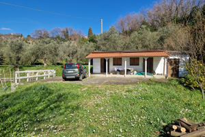 Fosdinovo vigneto uliveto e fabbricato