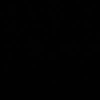 alternatore 1.4 tdci