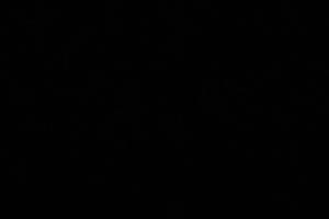 alternatore 1.4 tdci