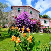 Il Casale del Magra Affittacamere e Appartamenti