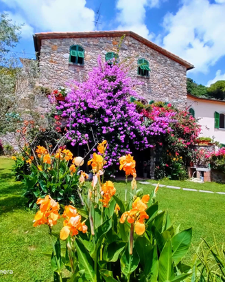 Il Casale del Magra Affittacamere e Appartamenti