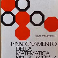 Libro l'insegnamento della Matematica nella Media