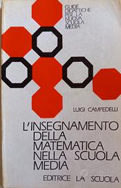 Libro l'insegnamento della Matematica nella Media