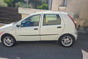 fiat punto 