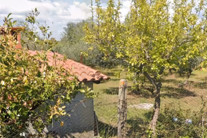 TERRENO CON FABBRICATO 