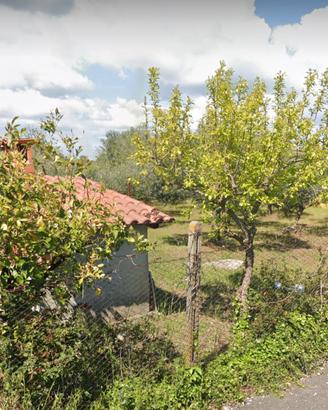 TERRENO CON FABBRICATO 