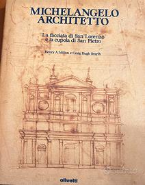 Michelangelo architetto
