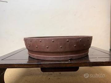 Vaso bonsai tamburo timbrato