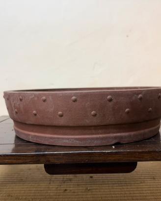 Vaso bonsai tamburo timbrato