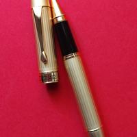 Jaguar penna