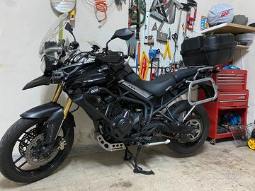 Tiger 800 abs total black
