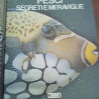 Tre libri Animali e Pesci rossi e Biologia Marina