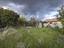 Immagine 26