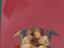 Immagine 2