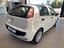 Immagine 4