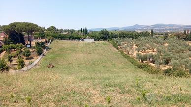 Terreno agricolo