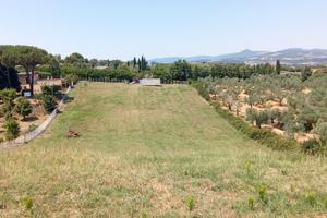 Terreno agricolo