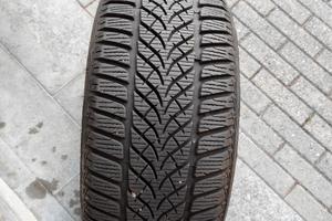 gomme   DUNLOP WINTER TRAIL 225 / 40 R 18  92 V