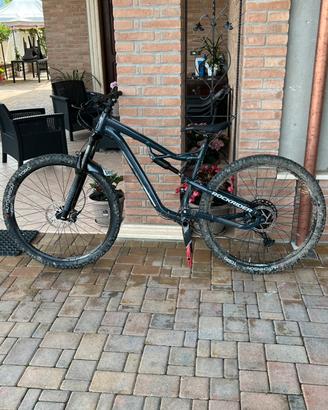 Am 50 s rockrider mountain bike full suspended