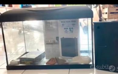 Acquario