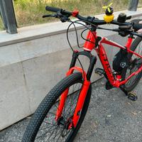 Bici mbm