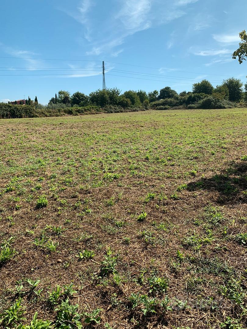 Terreno 11.000 mq vicino Roma - Vista 4