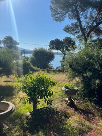Villa sul mare Castiglioncello