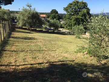 Terreno Residenziale Manziana [TE79VRG]