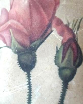 Oggettistica vintage  Rosa