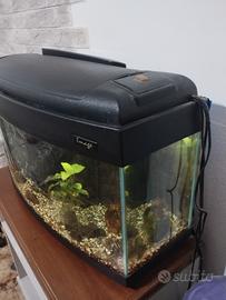 acquario 80 litri