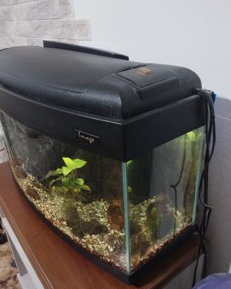 acquario 80 litri