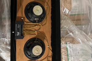 Pianale auto con tweeter e crossover coral