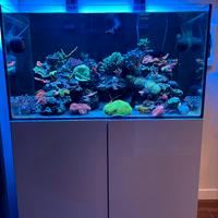 Acquario marino design 90x50x50
