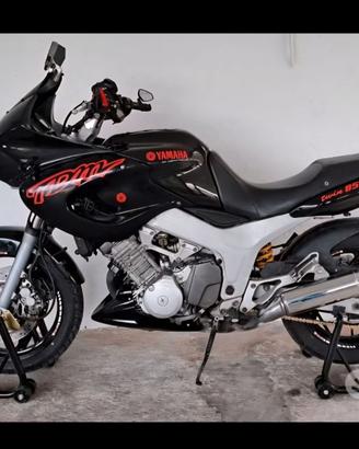 TDM  850  carburatori ASI