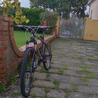 bicicletta mountain-bike bianchi 