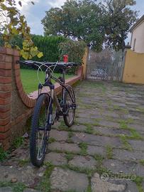 bicicletta mountain-bike bianchi 