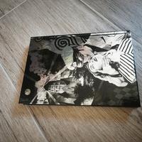 Mario shueiro - lunatic lovers Coconino variant 