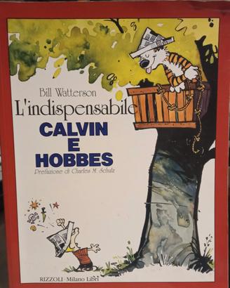 Volume a fumetti "L'indispensabile Calvin &Hobbes"
